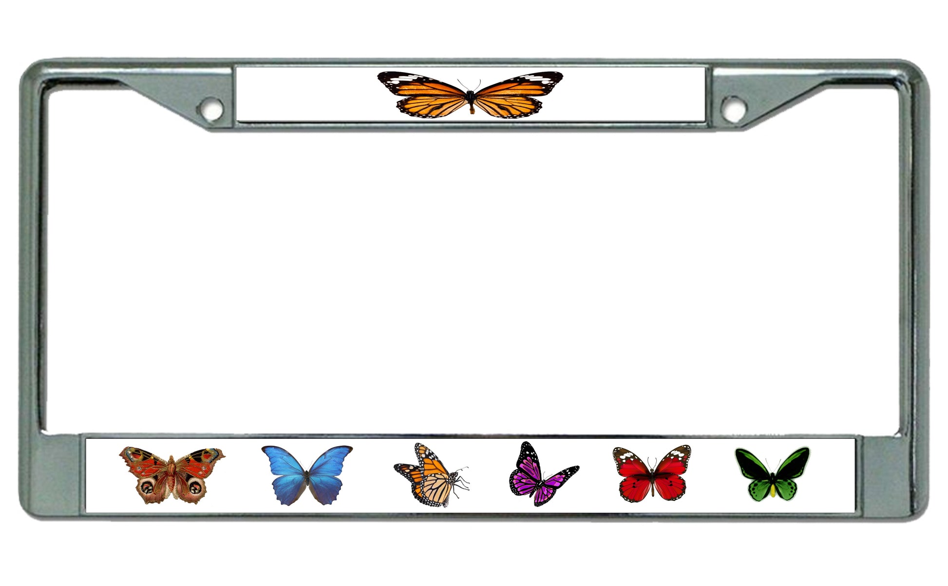 Butterflies Photo License Plate Frame