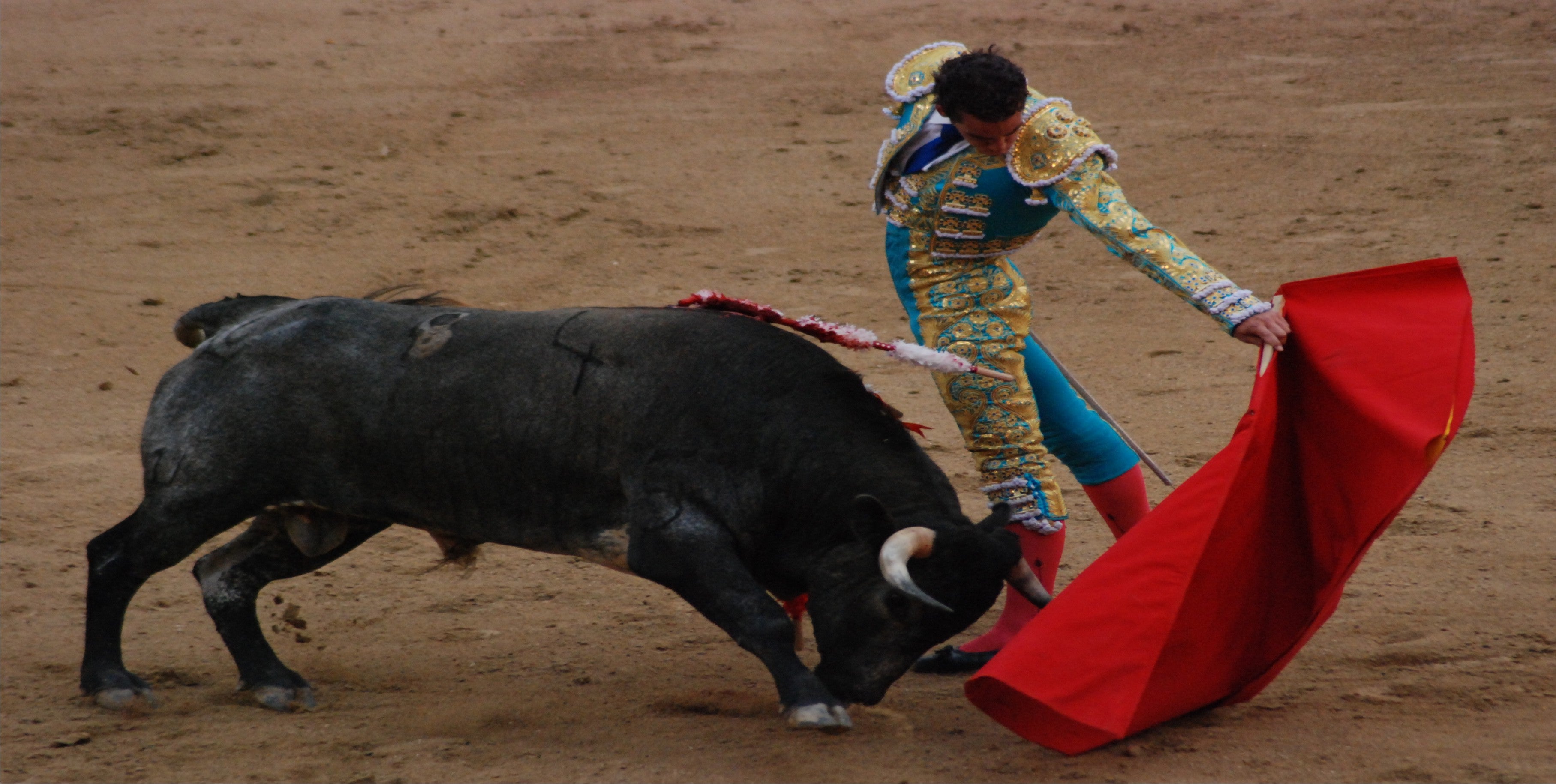 Matador Bull Fighter Photo License Plate – Auto License Plates Frames