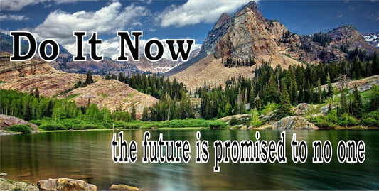 Do It Now The Future Is Promised To No One Photo License Plate
