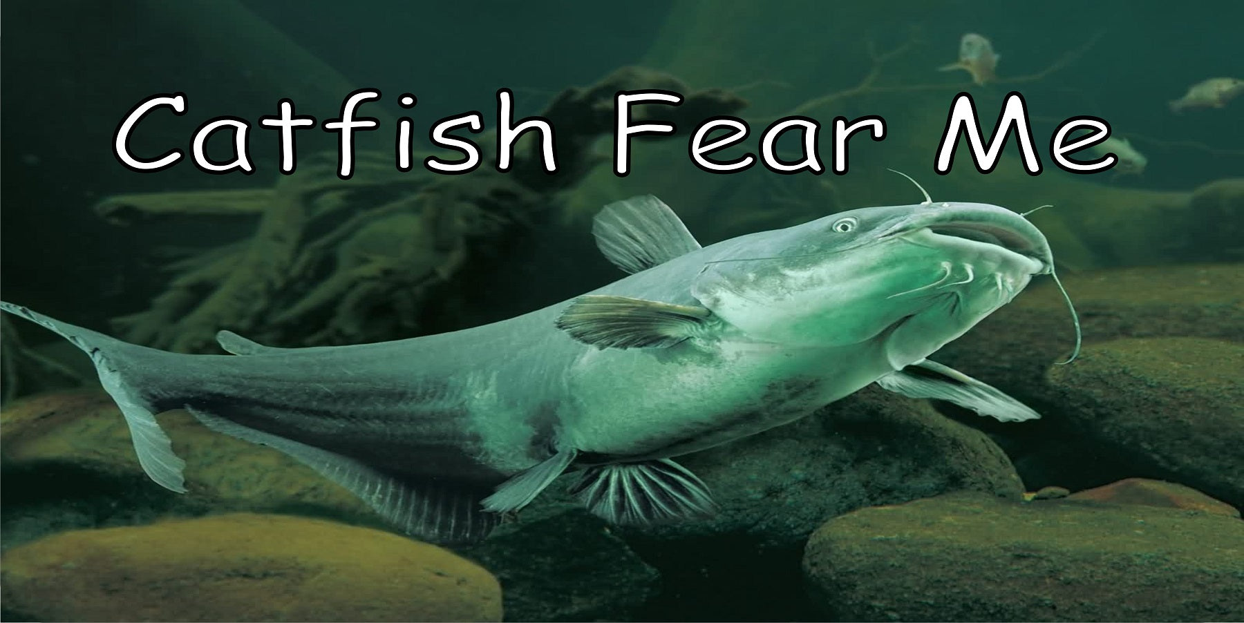 Catfish Fear Me Photo License Plate – Auto License Plates Frames