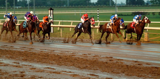 Racing Quarter Horse Photo License Plate