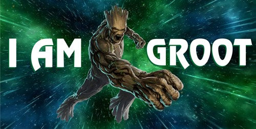 I Am Groot Photo License Plate – Auto License Plates Frames