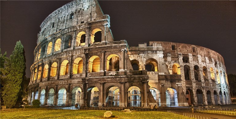 Colosseum Photo License Plate