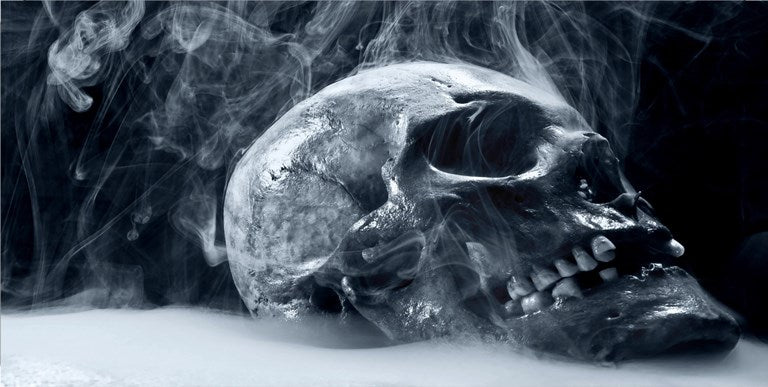 Steamy Skull Photo License Plate