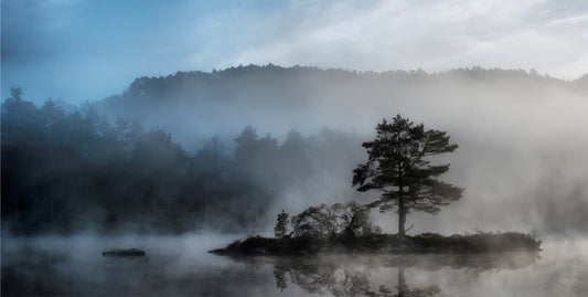 Foggy Scene Photo License Plate