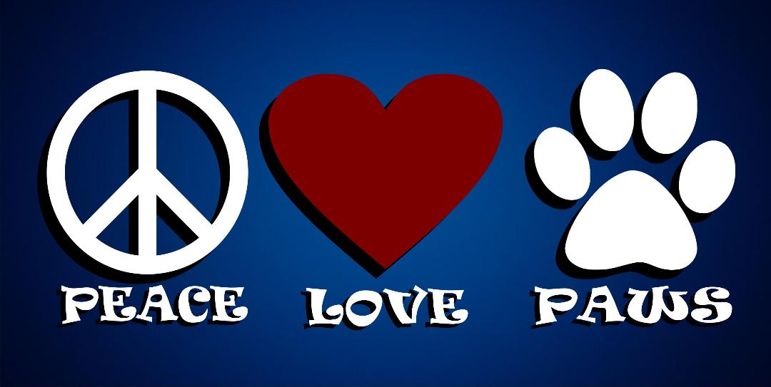 Peace Love And Paws Photo License Plate