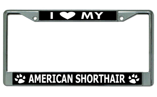 I Love My American Shorthair Cat Chrome License Plate Frame