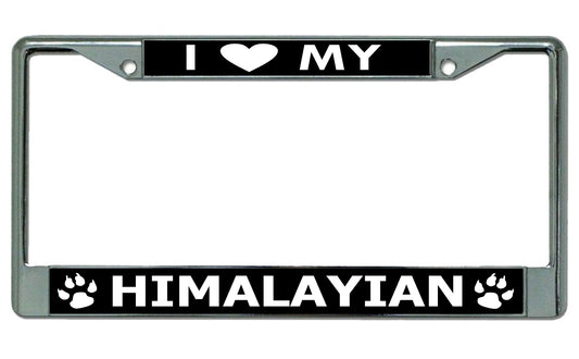 I Love My Himalayan Cat Chrome License Plate Frame
