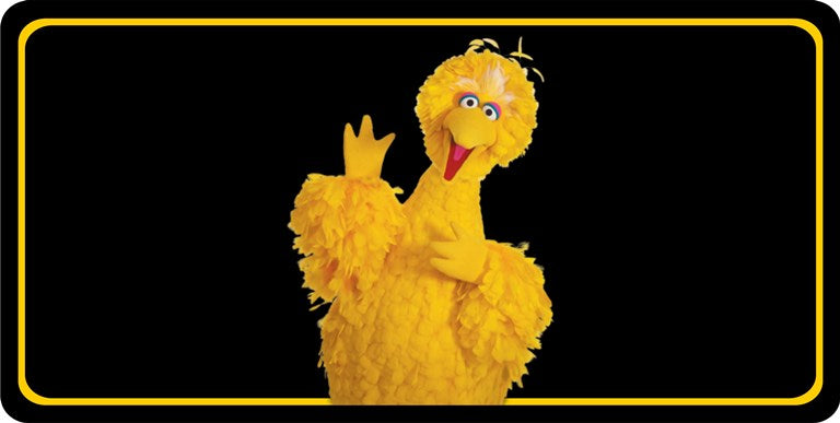 Big Bird Photo License Plate