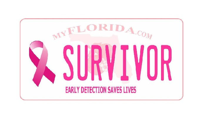 MyFlorida.com Breast Cancer Survivor Photo License Plate