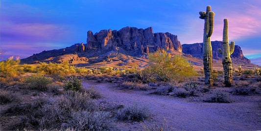 Superstition Mountains #2 Photo License Plate