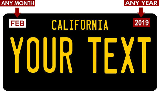 Custom State Personalized Novelty Photo License Plate