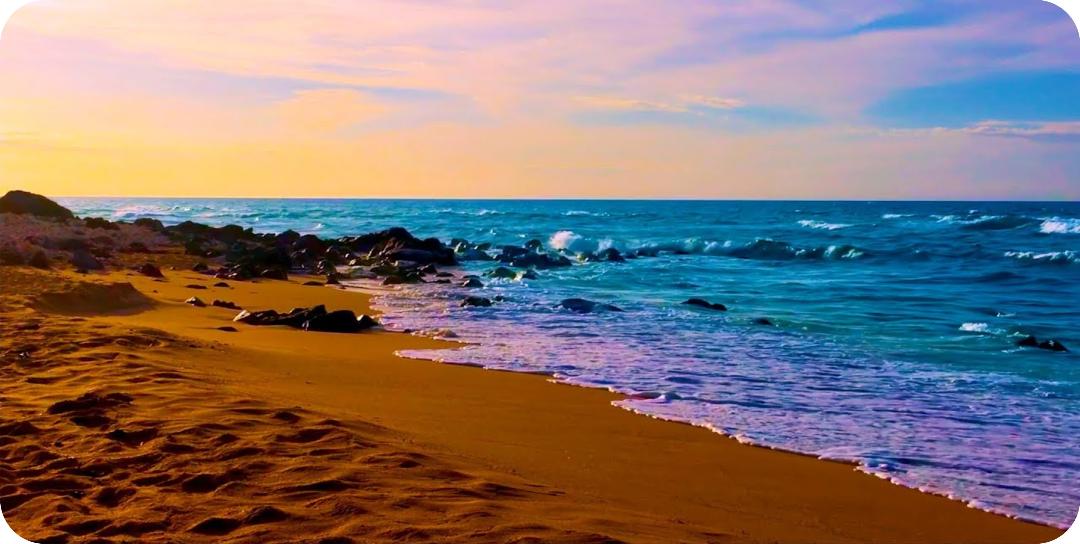 Ocean Tide Photo License Plate