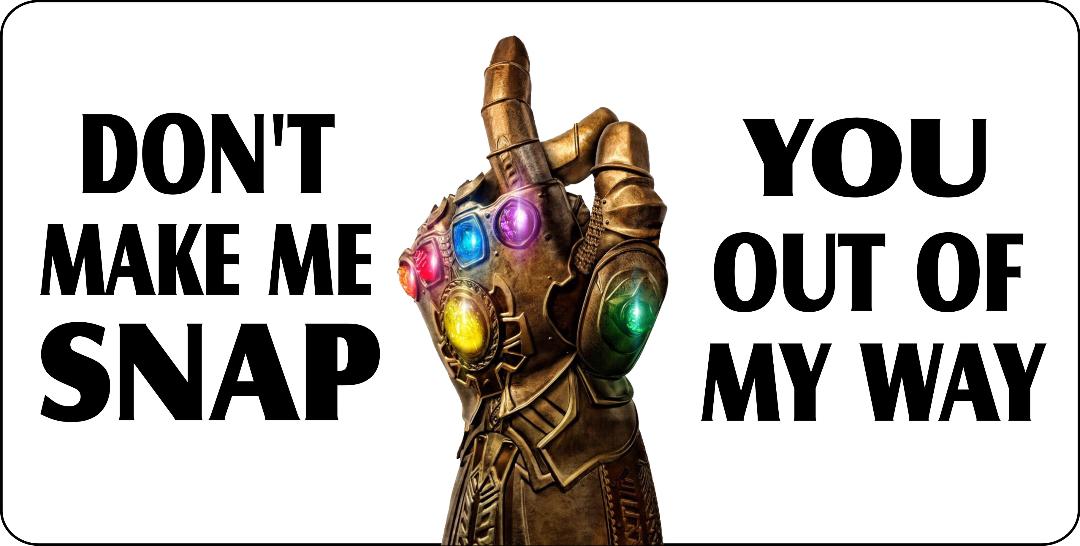 The Infinity Gauntlet Don't Make Me Snap Photo License Plate