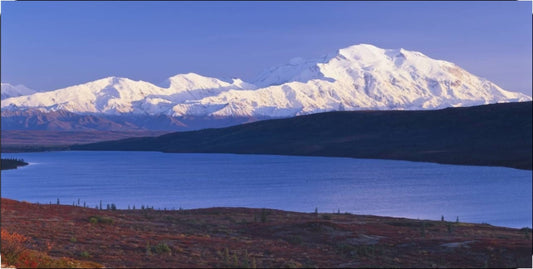 Mount Mckinley Photo License Plate