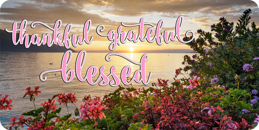 Thankful Grateful Blessed Pink Letters Photo License Plate