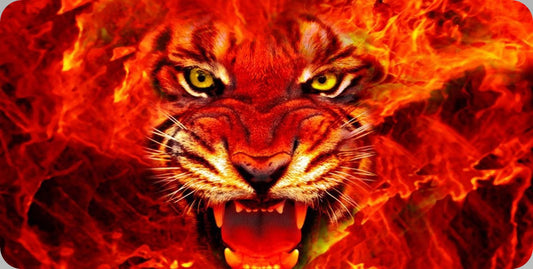 Tiger Face On Fire Photo License Plate