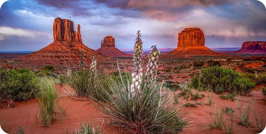 Arizona Monument Valley Scenery Photo License Plate