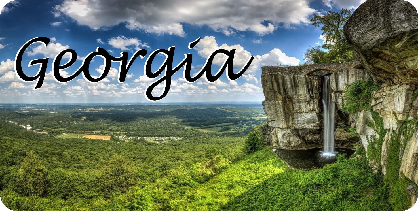 Georgia Rock Cliff Scene Photo License Plate