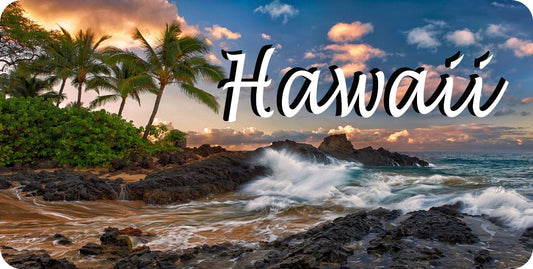 Hawaii Shoreline Scene Photo License Plate