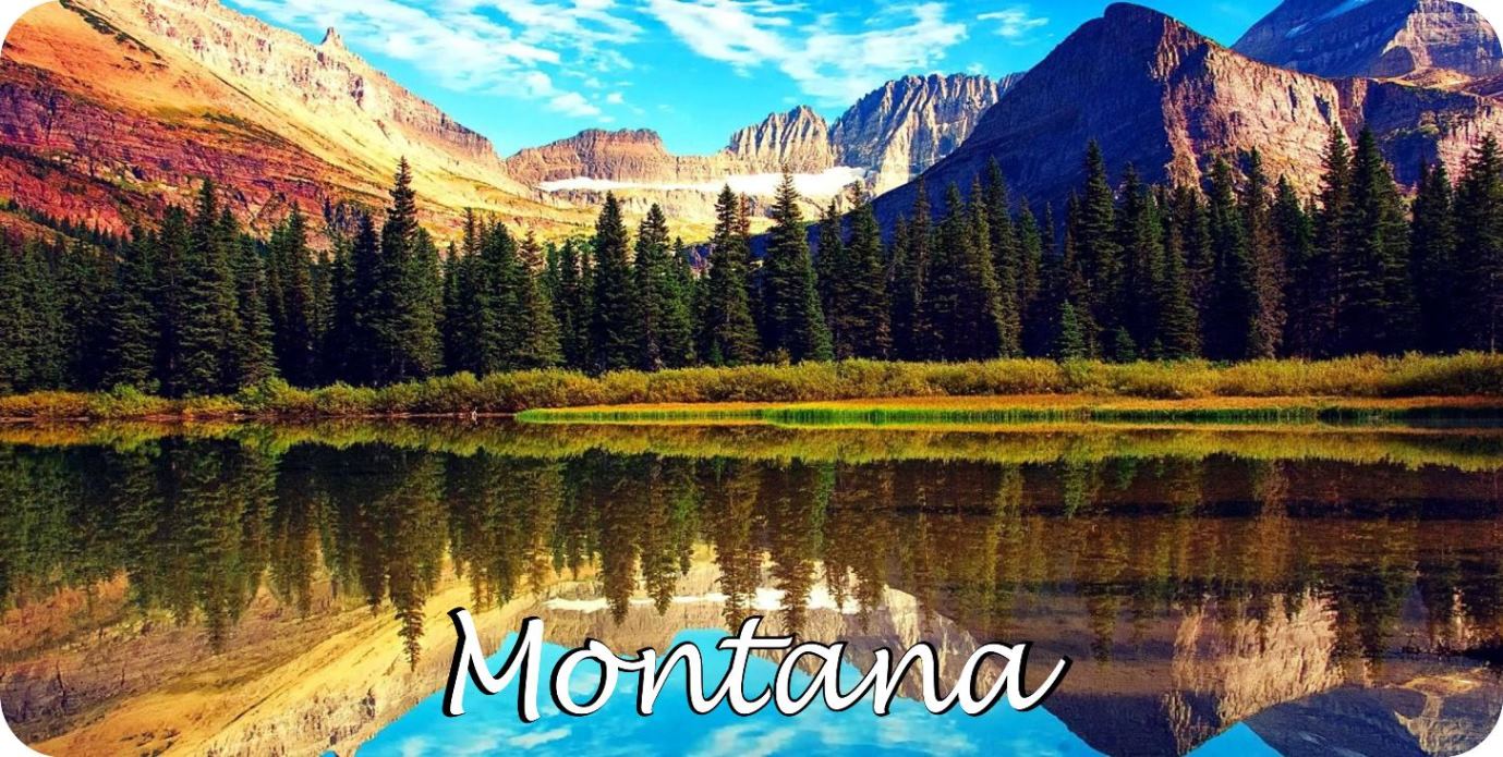 Montana Mountain Reflection Scene Photo License Plate