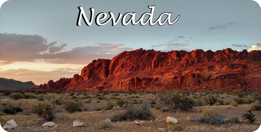 Nevada Red Rock Scene Photo License Plate