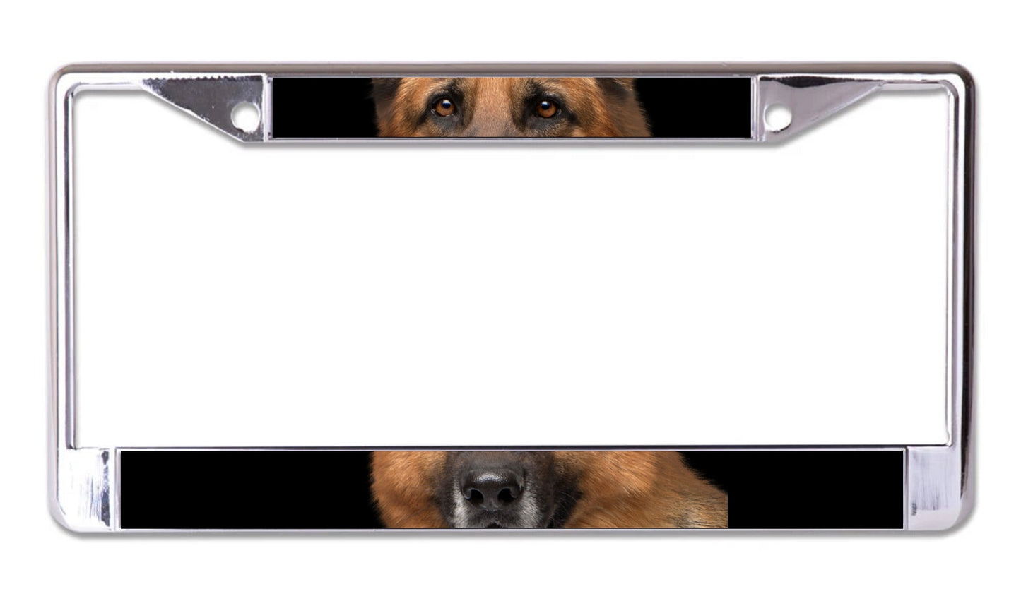 German Shephard Face Chrome License Plate Frame