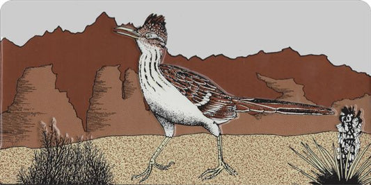 Roadrunner Photo License Plate