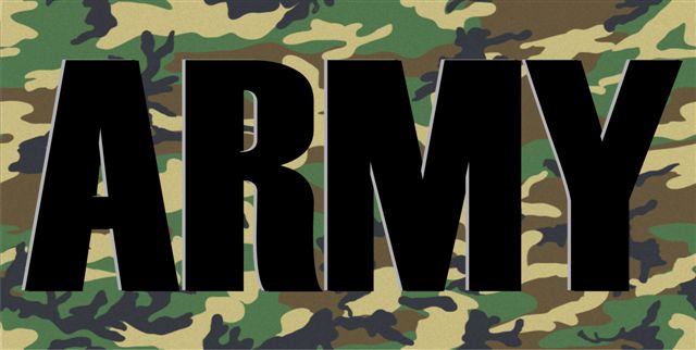 Army Camo License Plate