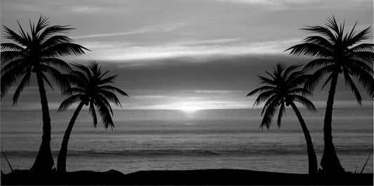 Grey Palm Tree Sunset Photo License Plate