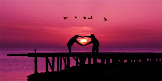 Love On The Pier Photo License Plate