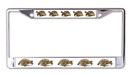 Tortoise Chrome License Plate Frame