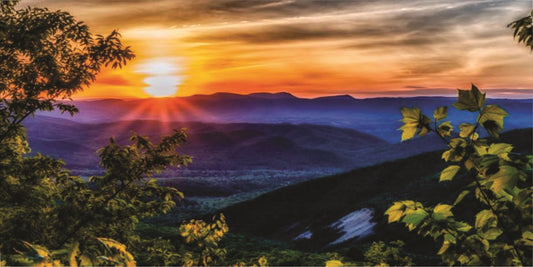 Blue Ridge Mountains #2 Photo License Plate