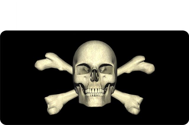 Skull and Crossbones Photo License Plate