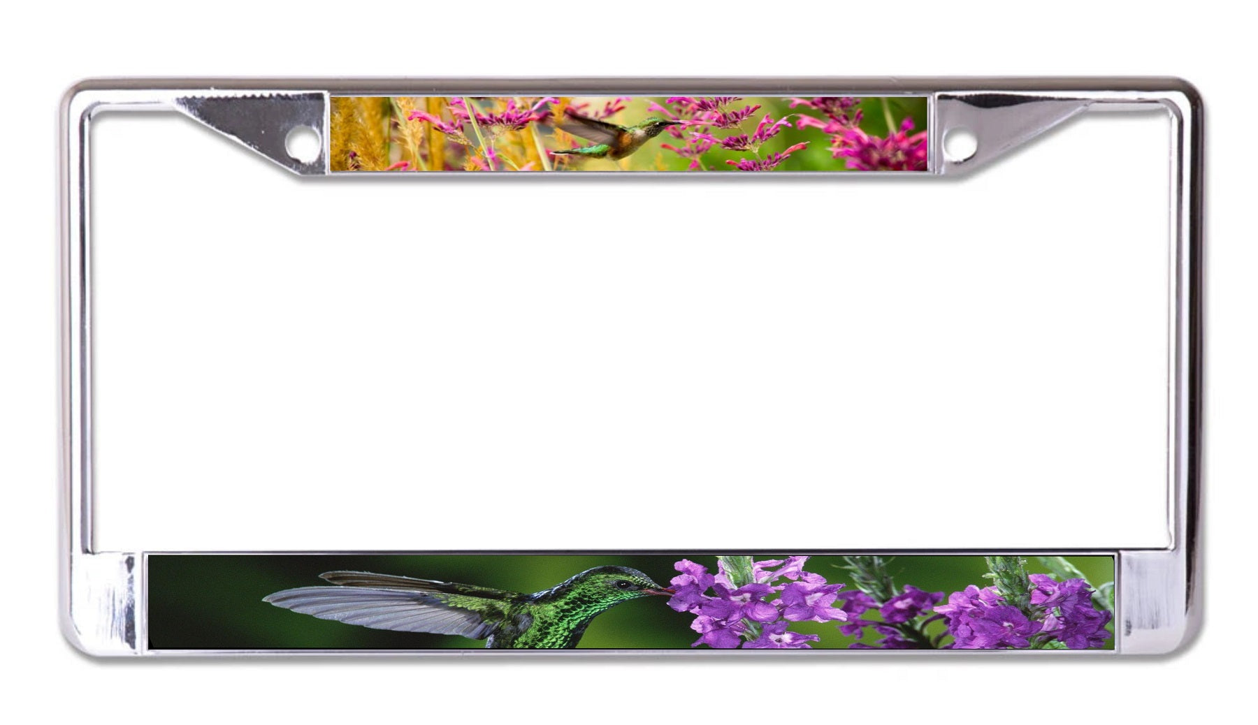 Hummingbirds And Flowers Chrome License Plate Frame