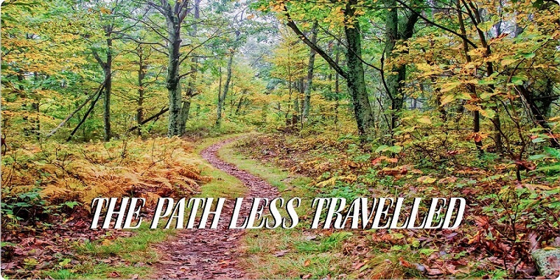The Path Less Travelled Photo License Plate – Auto License Plates Frames