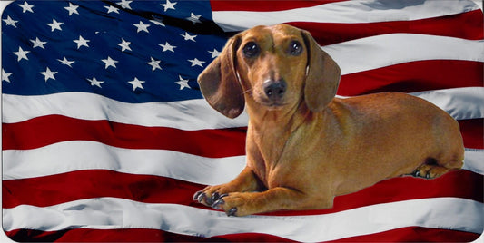 Dachshund On U.S. Flag Photo License Plate