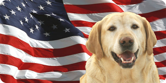 Yellow Lab On U.S. Flag Photo License Plate