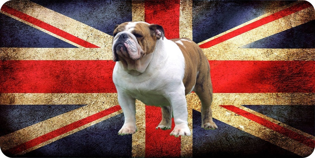 Bulldog On Union Jack Flag Photo License Plate