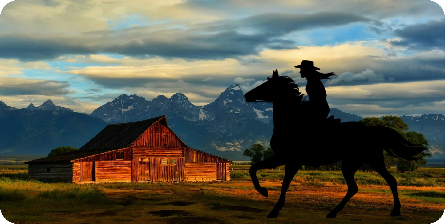 Cowgirl With Farmhouse Photo License Plate