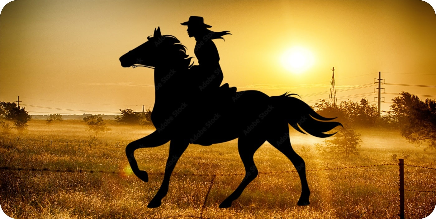 Cowgirl At Sunset Photo License Plate