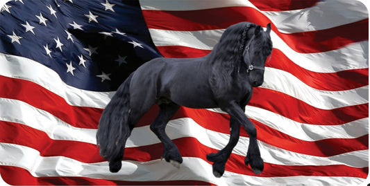 Friesian Horse On U.S. Flag Photo License Plate