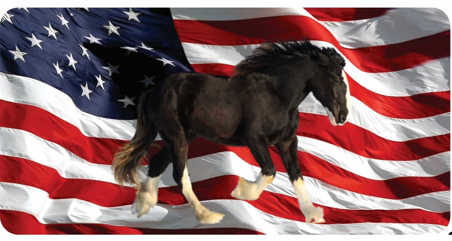 Shire Horse On U.S. Flag Photo License Plate