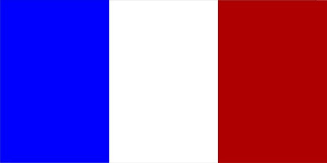 France Flag Photo License Plate