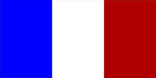 France Flag Photo License Plate