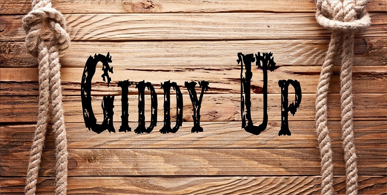 Giddy Up Metal License Plate