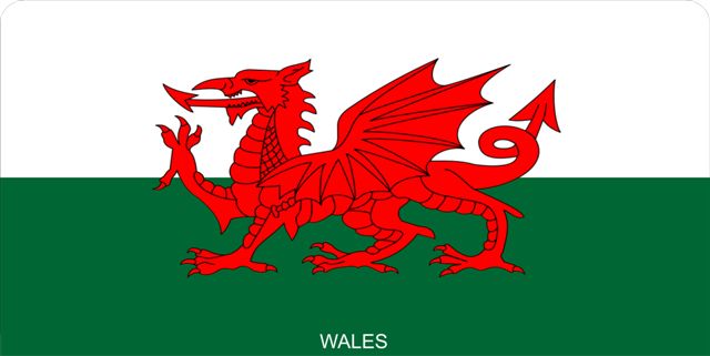 Wales Flag Photo License Plate