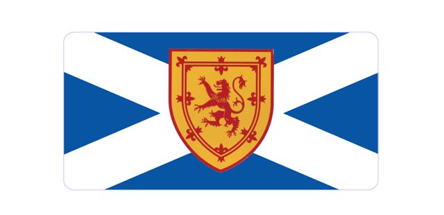 Scotland St. Andrews Cross Flag Photo License Plate