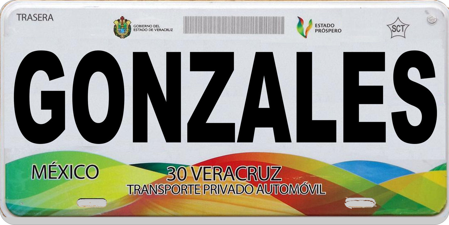 Mexico Veracruz Photo License Plate