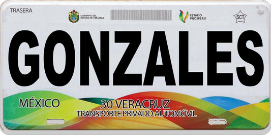 Mexico Veracruz Photo License Plate